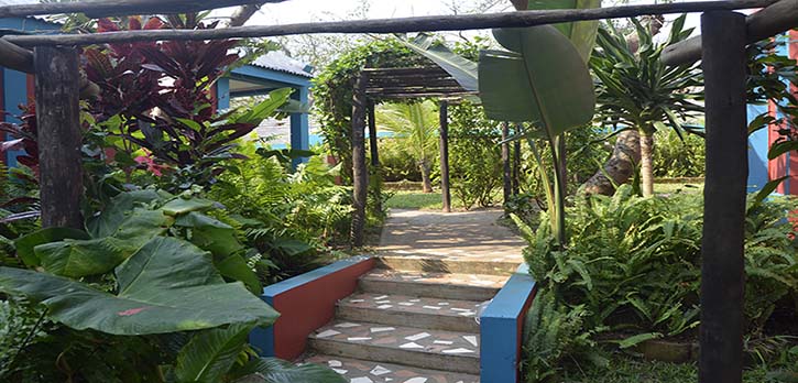 Waves Garden